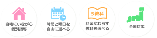 オンライン家庭教師のPEACE NET(ピースネット)|全国どこでも繋がる個別指導